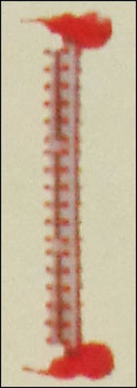 Reflex Level Gauge