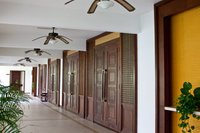 Flush Doors