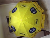 Customized Promotional Umbrellas