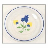 Plastic Dinner Plates