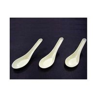 Plastic Spoon