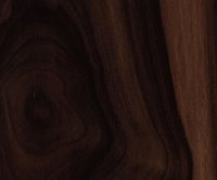 Softwood Plywood