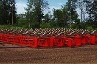 Belt Conveyor