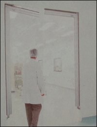 Flexible PVC Swing Door