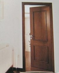Flush Door