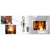 High Temp Crane Scale