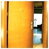 BWP Flush Door