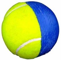 Swing Ball