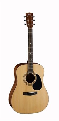 Acoustic Guitars (CORT AD 810)