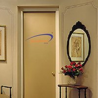 Swarnim Flush Door
