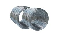 M.S. Wires