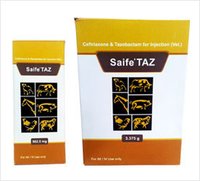 Saife TAZ