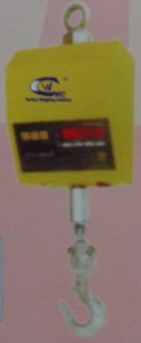 Crane Weighing Scale (WIC31 Series)