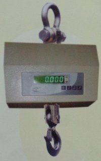 Heavy Duty Crane Weighing Scale (WIC31 Series)