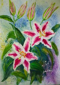 Watercolor Painting Day Lily