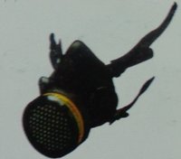 Filter Mask
