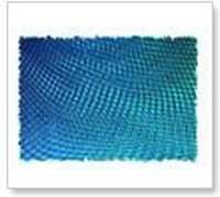Safety Nets