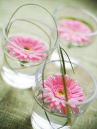 Mini Glass Flower Pot