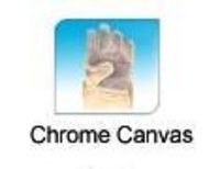Chrome Canvas Safety Gloves