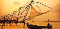 Chinese Fishing Nets
