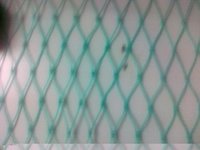 HDPE Fishing Nets