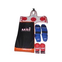 Taekwondo Guards