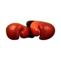 Boxing Gloves