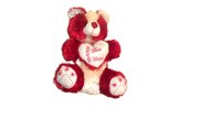 Teddy Bear Soft Toy