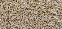 Cumin Seeds