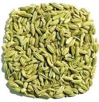 Fennel Seeds