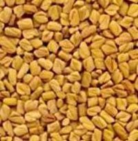 Fenugreek Seeds