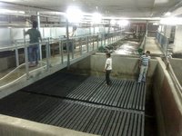 Tube Deck Media
