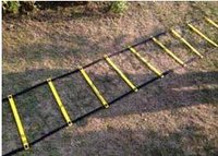 Speed Ladder For School