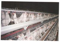Indian Type Grower Cages