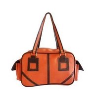 Fancy Handbag
