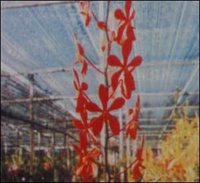 Foriculture Net