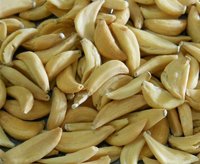 Barley Seed