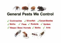 General Pest Control Service