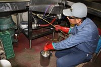 Restaurant Pest Control Service