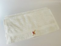 Long Refresher Towels