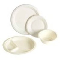 Disposable Plate