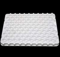 Large Plastic Tray