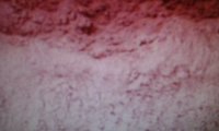 Dehydrated Red Onion Powder