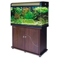 Medium Sized Aquarium