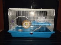 Plastic Hamster Cage