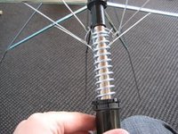 Umbrella Springs