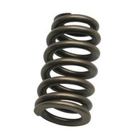 Valve Springs