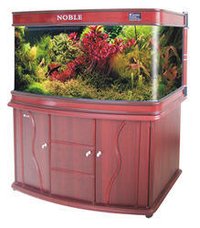 Wooden Aquarium