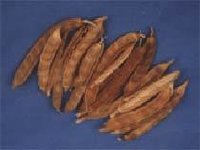 Barley Seed