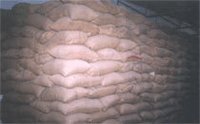 Barley Seed